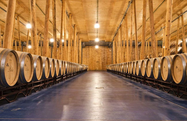 Visita a la bodega Bela - Foto 4