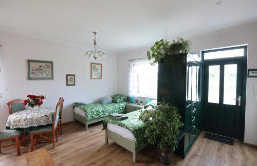 Zielona Przystań - Foto 10