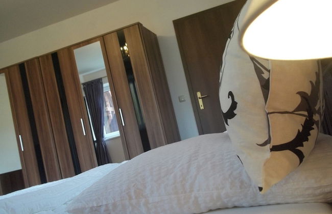 Villa Wellspacher - Renovated 19th Century Villa - Foto 10