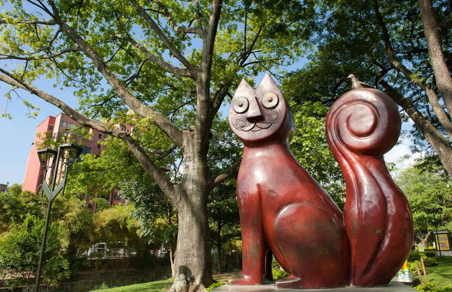 Tour de bicicleta por Cali - Foto 6