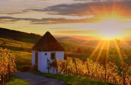 Ferienwohnung Rebblick - Foto 18