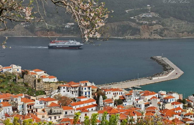 Villa Avaton With Magnificent sea View and Skopelos Town - Foto 48