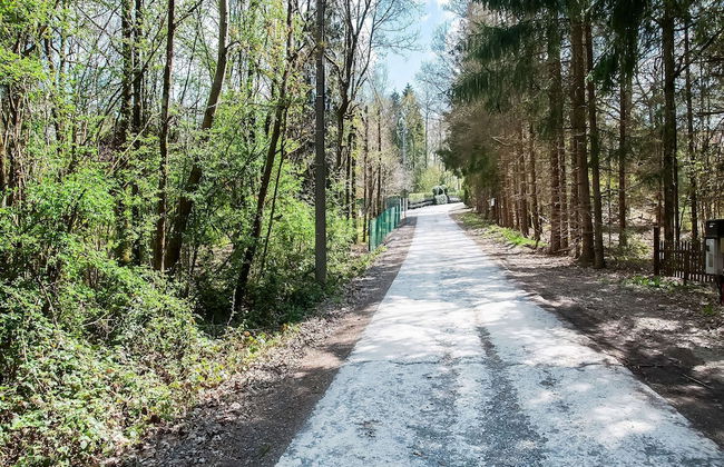 Holiday Home in Biron With Barrel Sauna - Photo 40