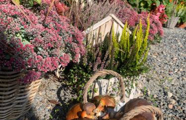 Agro na Wapniarni - Foto 53