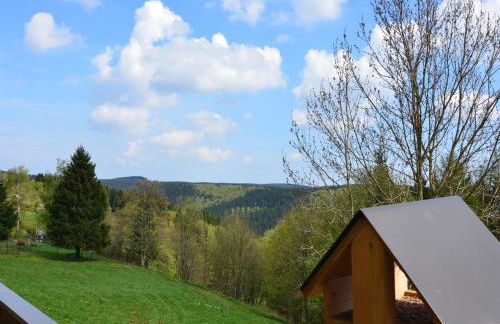 Small and Cozy Apartment in Frauenwald near Forest - Foto 34