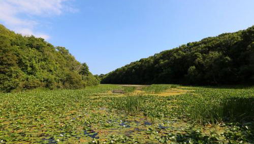 2 Cheriton Cottages - Foto 2