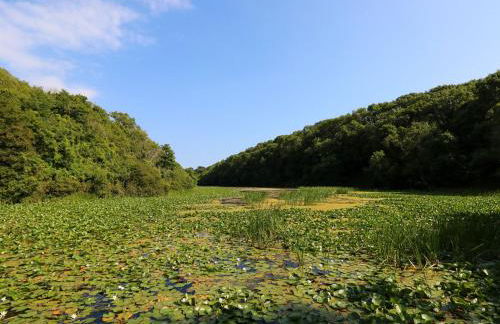 Florence Pod - Foto 22