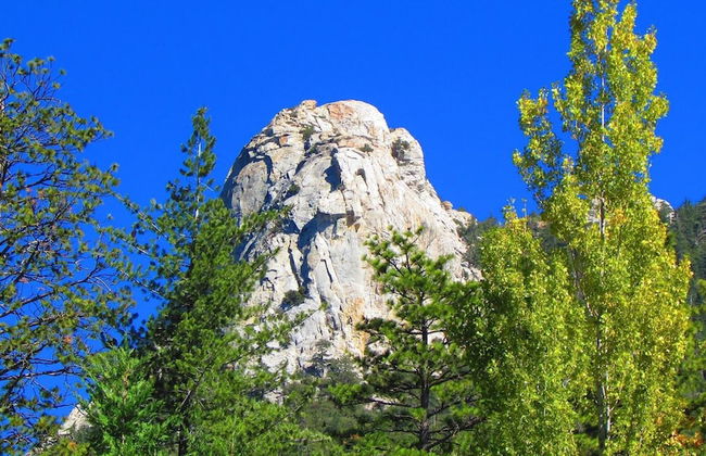 Always Inn Idyllwild Vacation Cottages - Foto 22