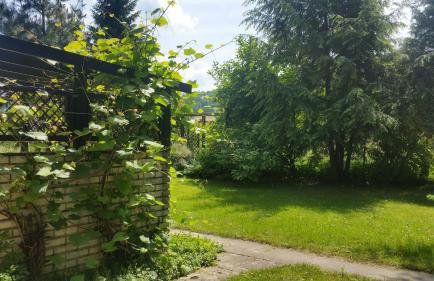 Świnna - Brzozowy Zagajnik - Foto 30