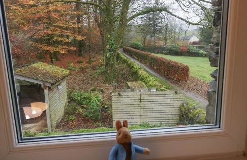 Low Jock Scar - Foto 68