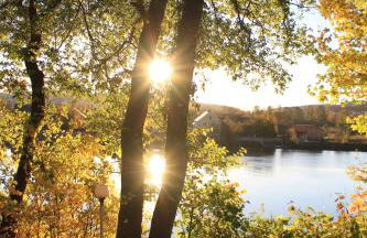 Chalet an der Donau direkt bei Regensburg, 5 Sterne DTV - Foto 15