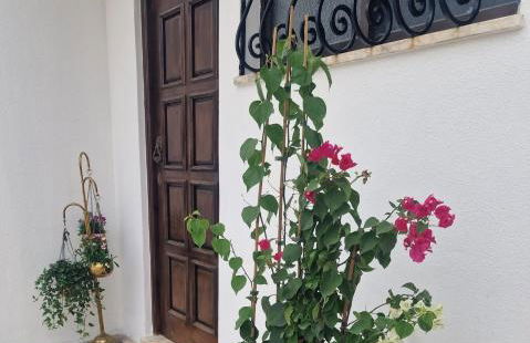 Studio Buganvilia - near riverside - Photo 12