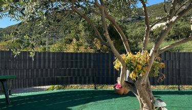 Holiday House M&A&K with swimming pool - Foto 2