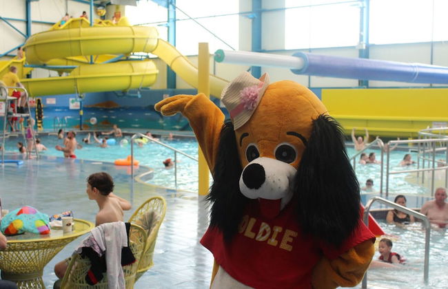 Cosey 3 Bedroom Mobile Home Golden Palms Resort - Foto 10