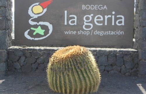 Volcano View - Photo 45