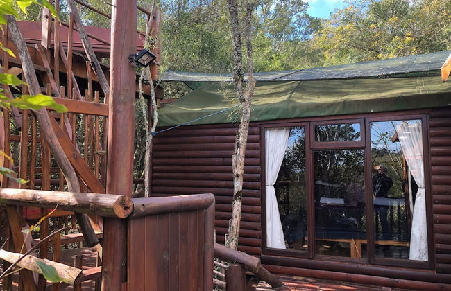 Teniqua Treetops - Foto 46