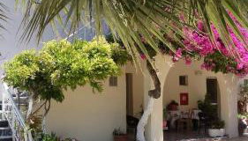 Canditas Studios - Photo 3