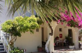 Canditas Studios - Photo 3