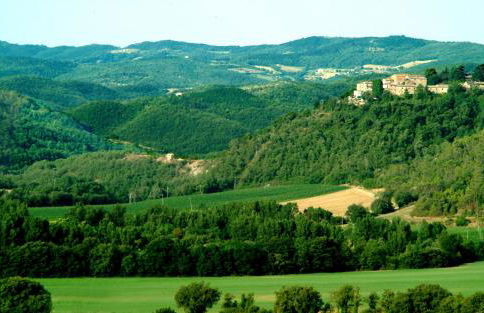 Agriturismo Fattoria Aquilone - Foto 69