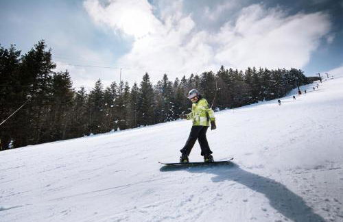 Gite Le Chalet SaintAnthème / Prabouré - Foto 23