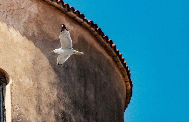 Villa Tereza in Prkos - Foto 30