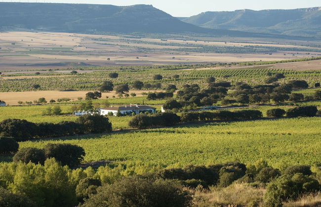 Finca El Romeral - Foto 50