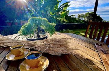 Time to Travel to Terceira - Photo 12