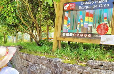 Laga Blue Surf - Foto 44