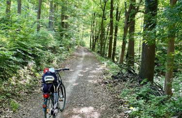 Alraftsblick - Foto 19