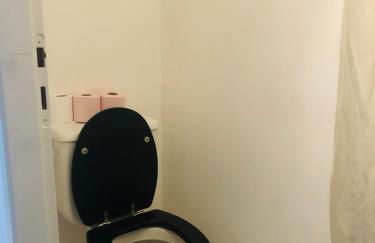 Bordeaux Centre T2 Duplex 65m Hospital Pellegrin CHU - Foto 15