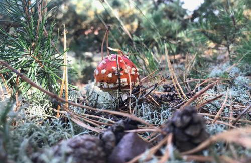 Altstadt Quartier 2 - Foto 15