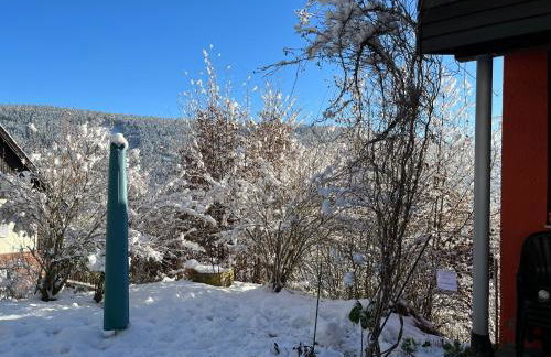 Waldhaus Max - Foto 21