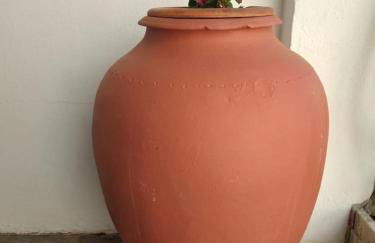 Casa dos Avós - Foto 5