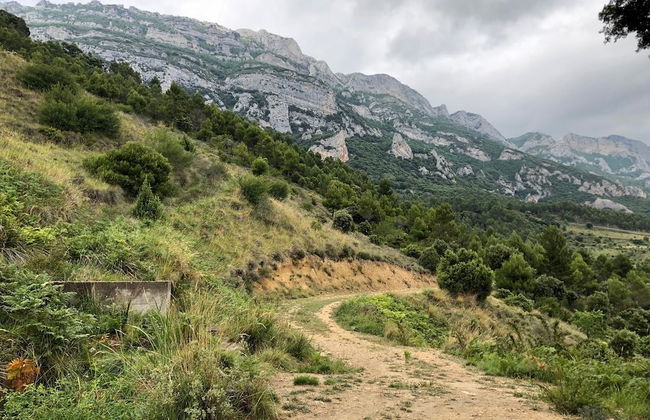La Casona De Alútiz - Foto 26