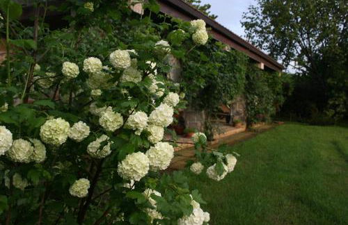 Cottage Beach Vico - Foto 71