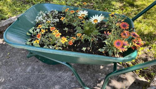 Kuća za odmor PEPA - Foto 4