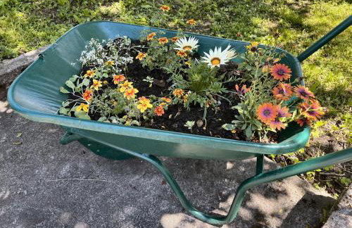 Kuća za odmor PEPA - Foto 4