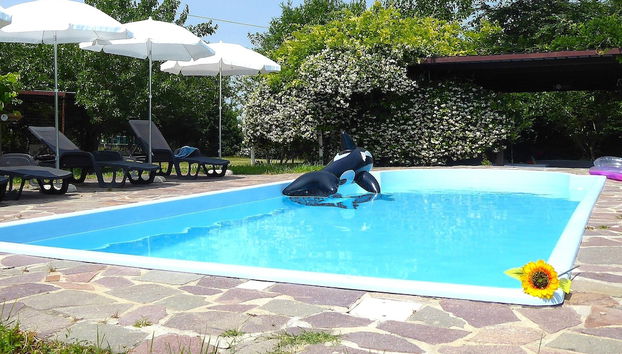 Silea Apartments, Pool, Garden, Treviso - Foto 2, Imagem principal