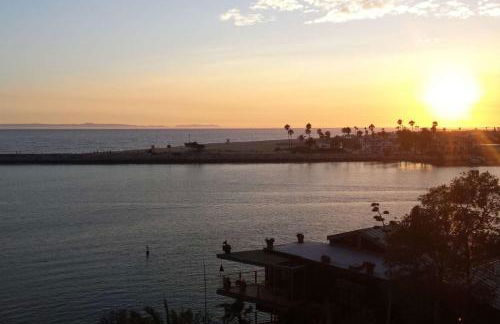 416 Dahlia - Foto 43