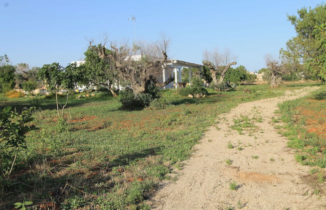 Country Salenthouse - Foto 11