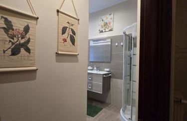 Ritiro Romano - Foto 3