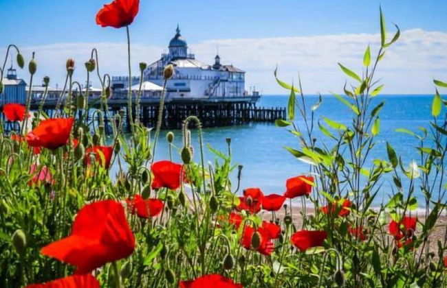 Wendy House - Foto 35