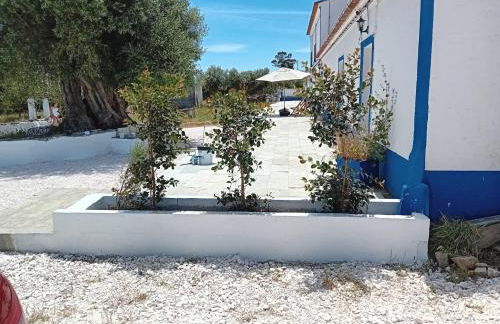 Monte da Broa - Foto 31