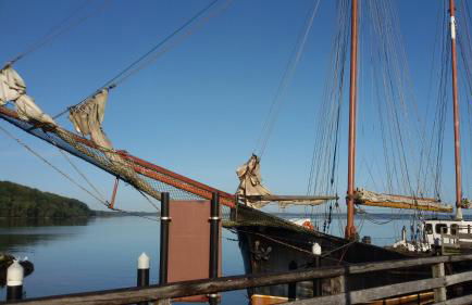 FEWO Muschel - Foto 18