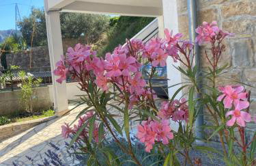 Villa with stunning Mountain Views and Authentic Croatian Stone House near Split and Sea - Photo 26