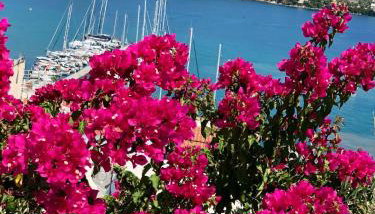 Oikies Skiathos - Foto 2