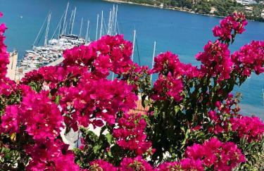 Oikies Skiathos - Foto 2