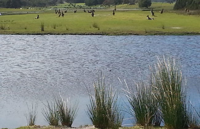 Nutkin Lodge - Photo 74