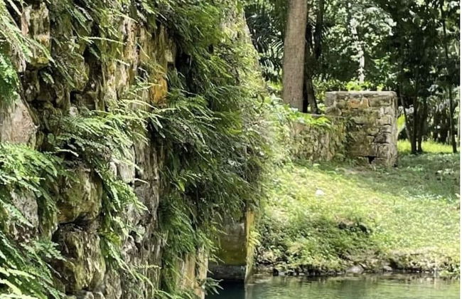 Seacret Studios - Cozy Jamaican Retreat Apts by RedAwning - Photo 21