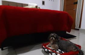 Apto Girassol - Foto 4